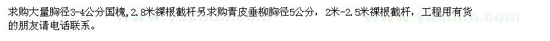 求購3-4公分國槐 