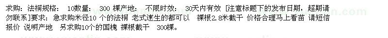 求購法桐 10 300棵