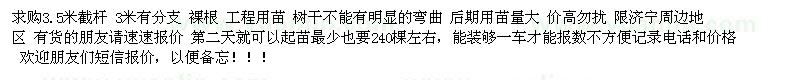求購10公分速生法桐