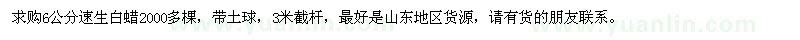 求購6公分速生白蠟2000多棵