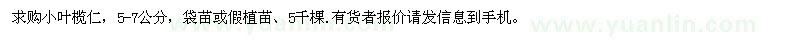求購小葉欖仁