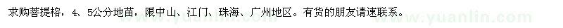 求購菩提榕