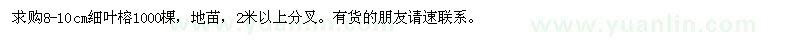 求購8-10cm細葉榕