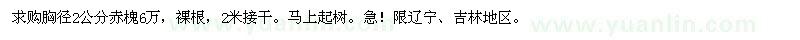 求購胸徑2公分赤槐