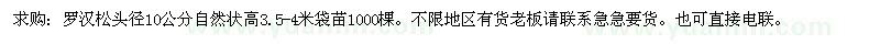求購(gòu)羅漢松袋苗