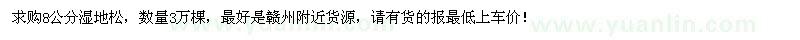 求購(gòu)8公分濕地松3萬(wàn)棵