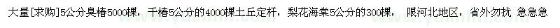 求購大量5公分臭椿，千椿5公分的，梨花海棠