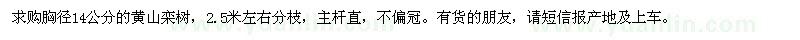 求購(gòu)胸徑14公分的黃山欒樹(shù)