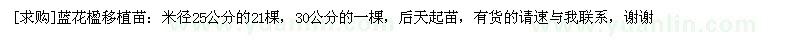 求購藍(lán)花楹 移植苗