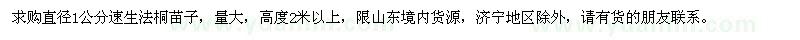 求購高度2米以上速生法桐