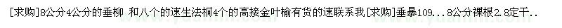 求購垂柳、速生法桐、高接金葉榆
