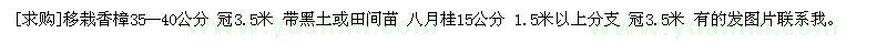 求購移栽香樟35--40公分 八月桂15公分