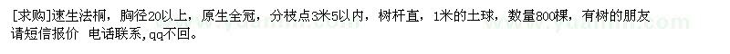 求購速生法桐，胸徑20以上，原生全冠
