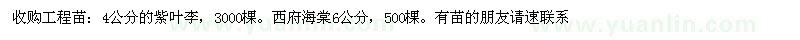 求購收購工程苗：4公分的紫葉李。西府海棠6公分