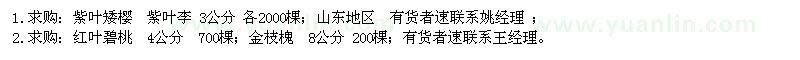 求購1.紫葉矮櫻、紫葉李；2.紅葉碧桃