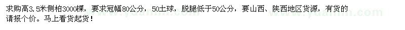 求購(gòu)高3.5米側(cè)柏3000棵