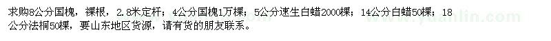 求購國槐、法桐、白蠟、速生白蠟