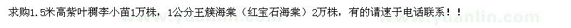 求購(gòu)1.5米高紫葉稠李，1公分王簇海棠 