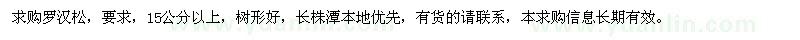 求購(gòu)15公分以上羅漢松