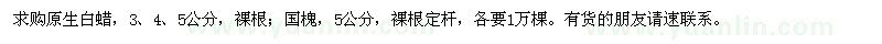 求購(gòu)原生白蠟,國(guó)槐