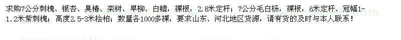 求購刺槐、銀杏、臭椿、欒樹、旱柳、白蠟等苗木