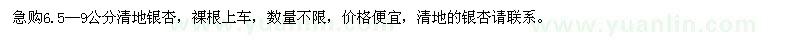 求購(gòu)6.5—9公分清地銀杏