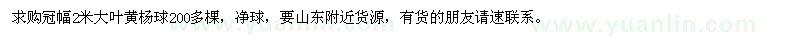求購(gòu)冠幅2米大葉黃楊球200多棵