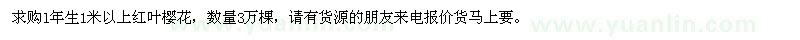 求購(gòu)1年生1米以上紅葉櫻花3萬(wàn)棵