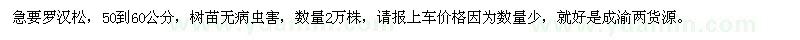 求購羅漢松，50到60公分，樹苗無病蟲害 