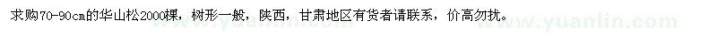 求購(gòu)70-90cm的華山松