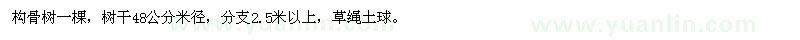 求購構骨樹