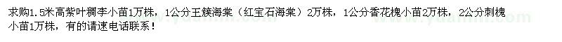 求購紫葉稠李,王簇海棠,香花槐,刺槐