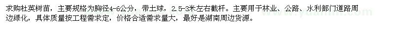 求購胸徑4-6公分杜英樹苗