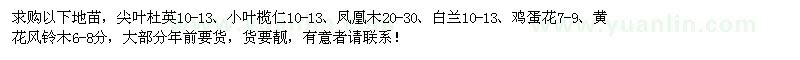 求購尖葉杜英10-13、小葉欖仁10-13、鳳凰木20-30等苗木