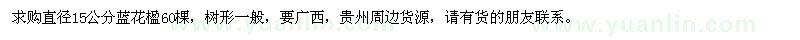 求購15公分藍花楹60棵