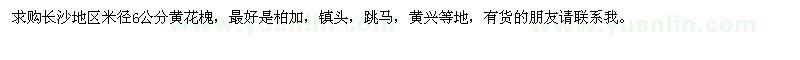 求購米徑6公分黃花槐