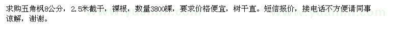 求購五角楓8公分 