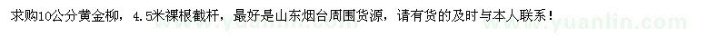 求購10公分黃金柳