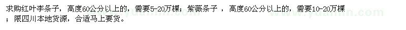 求購(gòu)高度60公分以上的紅葉李條子,紫薇條子