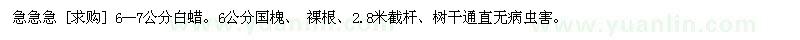 求購急急急  6--7公分白蠟。6公分國槐