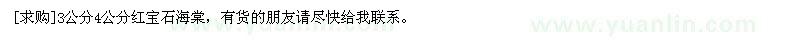 求購3公分4公分紅寶石海棠