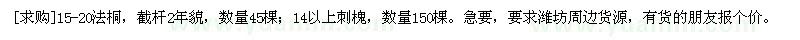 求購(gòu)15-20法桐；14以上刺槐