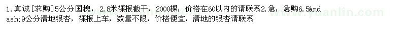 求購國槐 銀杏樹