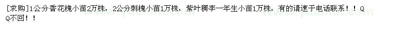 求購香花槐小苗，刺槐小苗，紫葉稠李
