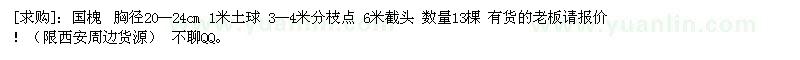 求購國槐 胸徑20--24cm 1米土球 3--4米分枝點