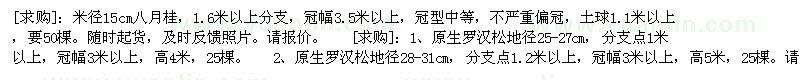 求購米徑15cm八月桂，原生羅漢松