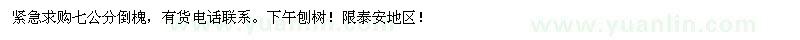 求購七公分倒槐