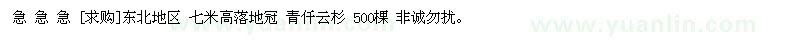 求購(gòu)東北地區(qū) 青仟云杉 500棵