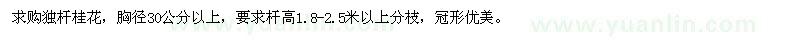 求購胸徑30公分以上獨桿桂花