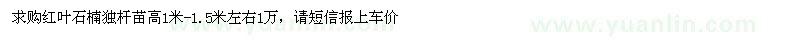 求購高1-1.3米紅葉石楠